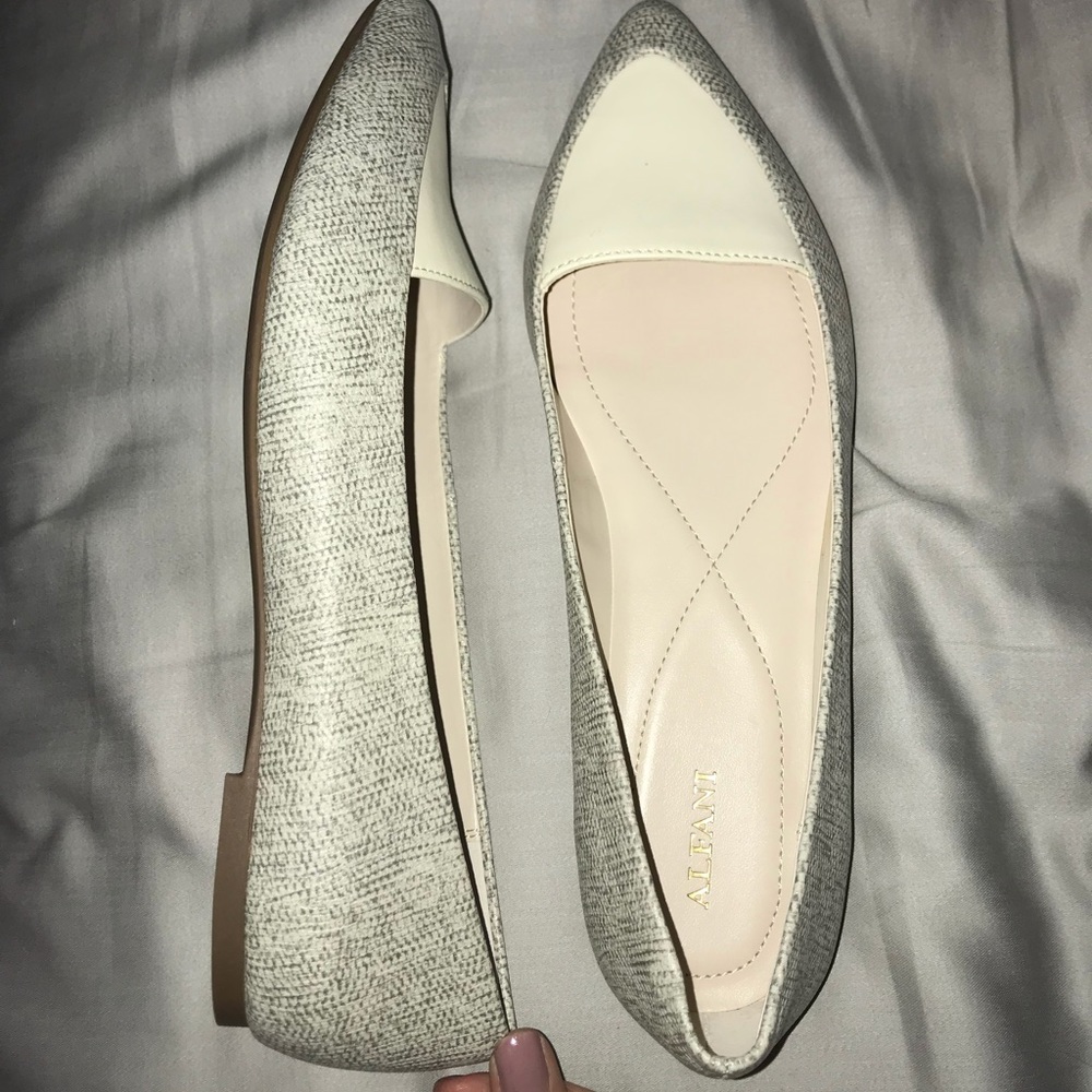 🆕 ALFANI Pointed Flats